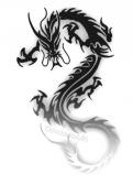 Angehngtes Bild: Drache.jpg