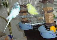 Angeh�ngtes Bild: the.JPG