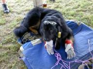 Angeh�ngtes Bild: PICT0531.JPG