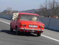 Angeh�ngtes Bild: 2ps.jpg