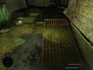 Angehngtes Bild: FarCry0003_2.jpg