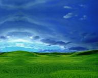 Angeh�ngtes Bild: Longhorn_Bliss.jpg