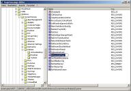 Angeh�ngtes Bild: reg.JPG