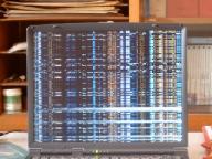 Angeh�ngtes Bild: J4100022.JPG