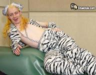 Angeh�ngtes Bild: tiger.jpg