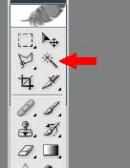 Angehngtes Bild: zauber.jpg