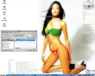 Angeh�ngtes Bild: desk.jpg