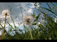 Angehngtes Bild: DSCN0727.jpg