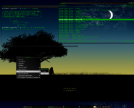 Angeh�ngtes Bild: screen.png