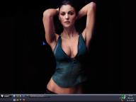 Angeh�ngtes Bild: desk_okt.jpeg