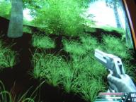 Angeh�ngtes Bild: FARCRY.jpg