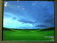 Angeh�ngtes Bild: 1_moni_sharp.gif