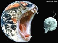 Angeh�ngtes Bild: 00.jpg