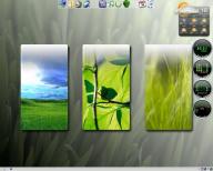 Angeh�ngtes Bild: Meiner_Juni.JPG