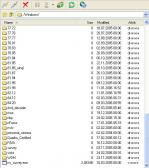 Angehngtes Bild: Dir.jpg