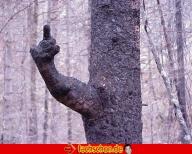 Angeh�ngtes Bild: Soylent_1082397652.jpg