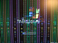 Angehngtes Bild: IMG_1466a.jpg