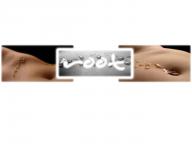 Angeh�ngtes Bild: rootswall.jpg