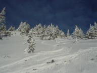 Angehngtes Bild: DSC02680.JPG