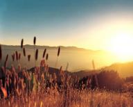 Angehngtes Bild: Sun.jpg