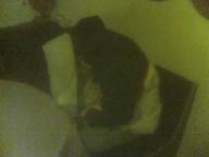 Angeh�ngtes Bild: 25_06_04_2352.jpg