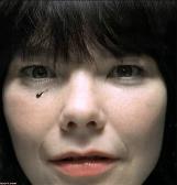 Angehngtes Bild: hiddenface1.jpg