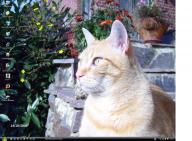 Angeh�ngtes Bild: K1024_Desktop.JPG