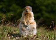 Angehngtes Bild: 3.jpg