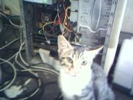 Angehngtes Bild: 07_05_06_1108.jpg