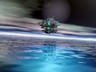 Angeh�ngtes Bild: Film_vi.jpg