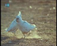 Angeh�ngtes Bild: PDVD_000.jpg