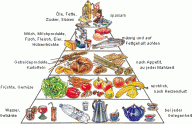 Angeh�ngtes Bild: nahrungspyramide.gif