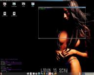 Angehngtes Bild: screenshot.jpg