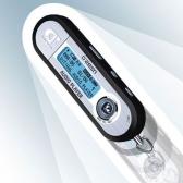 Angehngtes Bild: db387.jpg