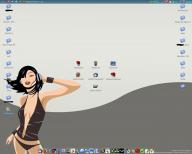 Angeh�ngtes Bild: deskapril.JPG