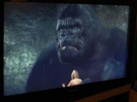 Angeh�ngtes Bild: pic00906.jpg