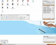 Angeh�ngtes Bild: desk_aug.jpg