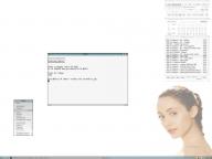 Angeh�ngtes Bild: screenflux.jpg