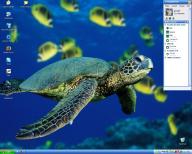 Angeh�ngtes Bild: 10.06.06.JPG