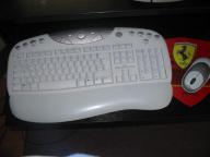 Angehngtes Bild: maus_003.jpg