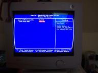 Angehngtes Bild: narf.jpg