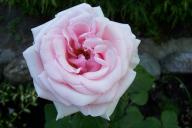 Angeh�ngtes Bild: 000_0043.JPG